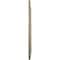 Ekena Millwork Claremont Ceiling Medallion (Fits Canopies up to 7"), 10 5/8"OD x 5 3/4"ID x 1/2"P, Gobi Desert CM10CLGDF - alternate 2